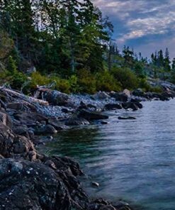 Lonely Planet USA's National Parks 31 51CfvXHzYL