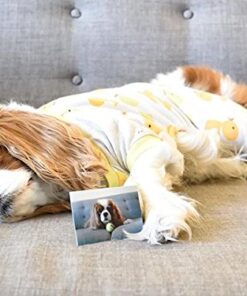 Polaroid 2x3ʺ Premium Zink Photo Paper (50 Pack) Compatible with Polaroid Mint Camera, Snap/Snap Touch Instant Print Cameras and Zip Photo Printers 50 Pack Zink Paper 21 51CnEyRD5L