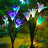 Outdoor Solar Garden Stake Lights - Doingart 2 Pack Solar Powered Lights with 8 Lily Flower, Multi-Color Changing LED Solar Decorative Lights for Garden, Patio, Backyard (Purple and White) Purple & White 2 51D9ZTVPMHL 1