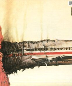 Alternative view of Licensed To Ill Vinyl, October 14, 2016