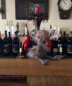 Jellycat Mad Pet Odette Ostrich Stuffed Animal, Medium, 20 inches 17 51DThQPWVL