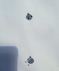 Crosman Premier Lead Pellets (500-Count) Hollow .177 18 51DU2svx9BL