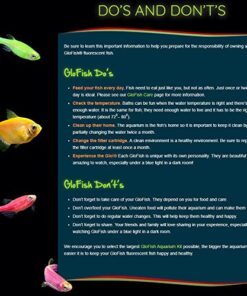 GloFish aquarium Gravel 5 Pounds, White, Complements GloFish Tanks (29022) White Frost 36 51DVtNI3JJL