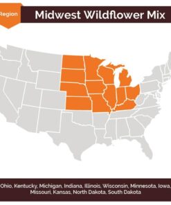 Alternative view of Eden Brothers Midwest Wildflower Mixed Seeds for Planting, 1 lb, 480,000+ Seeds with Cornflower, Candytuft, Mexican Hat | Attracts Pollinators, Plant in Spring or Fall, Zones 3, 4, 5, 6, 7, 8, 9, 10 1 Pound