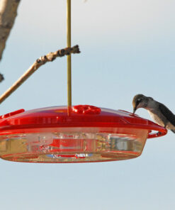 Aspects 367 Hummzinger Ultra Hummingbird Feeder, 12-Ounce,4 Feeding,Red 31 51Dpp2JcAAL
