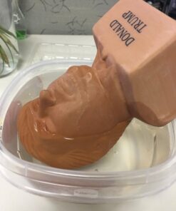 Chia Pet Donald Trump President with Seed Pack, (8" x 4.5" x 7.3") Decorative Pottery Planter, Easy to Do and Fun to Grow, Novelty Gift, Perfect for Any Occasion 40 51DtaR2gFGL 1