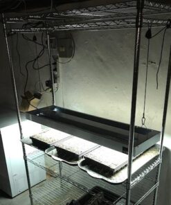 Hydrofarm FLT44 System 4' Fluorescent Grow Light, 1 Count (Pack of 1), White 4 Tubes 4-Feet 24 51E9OnlJFAL