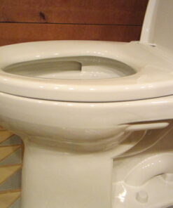 TOTO Transitional SoftClose SS114#01 Elongated Soft Close SEAT, Cotton White 53 51ET9e2nDcL