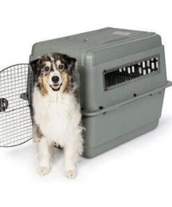 Petmate Sky Kennel Pet Carrier, 32 Inch, Gray, Made in USA 29.5"L x 19.8"W x 23.5"H 24 51Ednj7J4LL