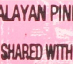 Trader Joe's Himalayan Pink Salt Crystals with Built in Grinder 4.5 Oz, (2-Pack) 14 51Ek9xs ylL