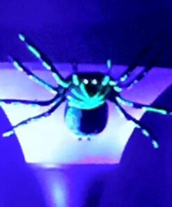 4M Glow Planets & Nova Stars - Astronomy Space Stem Toys Gift Room Décor, For Boys & Girls Ages 3+ 28 51EovQ5tQZL 1