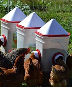 RentACoop 20lb BPA-Free Chicken Feeder with Large Ports - Includes Lid, Anti-Roost Cone, Ports, Rain Hoods - Suitable for Chickens - Corner Placement 23 51Ephs5pOHL