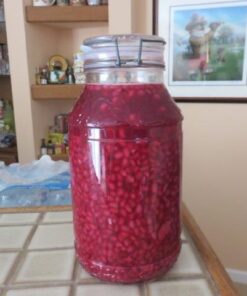 HIC Silicone Replacement Gasket Seals, Fits Regular Mouth Canning Jars, 3.75 x 3.75-Inches, Set of 4 24 51Et3yzNIQL