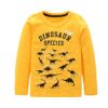 Boys Cotton Long Sleeve T-Shirts T Rex Dinosaur Shirt Graphic Tees 6-7 Years Yellow 25 51F98ocueOL