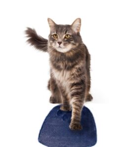 Alternative view of Petmate 22980 Flex Pet Litter Mat (Assorted Colors), One Size 1 Count (Pack of 1)