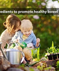 DrFormulas' Best Probiotics for Women & Men | Nexabiotic Multi Probiotic with Saccharomyces Boulardii, Lactobacillus Acidophilus, B. infantis, Prebiotic 60 Count Capsules (Not Pearls) Unflavored for Men and Women 60 Count (Pack of 1) 26 51FVqxGLNbL