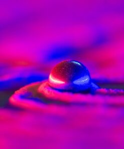 Neewer Carbon Fiber 66 inches/168 centimeters Camera Tripod Monopod with 360 Degree Ball Head,1/4 inch Quick Shoe Plate,Bag for DSLR Camera,Video Camcorder,Load up to 26.5 pounds/12 kilograms 162 51FXftqJETL