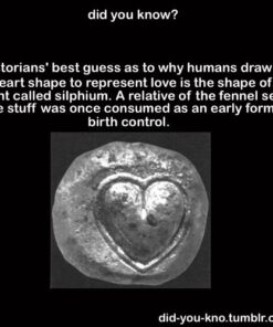 Rani Asafetida (Hing) Ground 3.75oz (106g) PET Jar ~ All Natural | Salt Free | Vegan | Non-GMO | Asafoetida Indian Spice | Best for Onion Garlic Substitute Asafetida Ground 3.75 Ounce (Pack of 1) 38 51FgsJFMhL