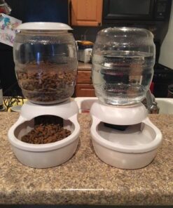 Petmate Replendish Automatic Gravity Waterer for Cats and Dogs, BPA-Free, No Batteries Required, Includes Charcoal Filter, 0.5 Gallon,Silver Silver 0.5 GAL 56 51Fj2GX16L