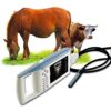 Kaixin KX5100V Veterinary Farm Animals Handheld Palm Ultrasound Scanner Machine 5 51FrbEGuPvL