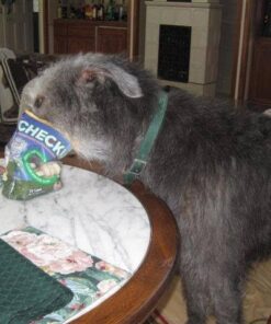 Checkups- Dental Dog Treats, 24ct 48 oz. for dogs (One Pack) 5 51G2z q4TnL