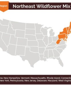 Alternative view of Eden Brothers Northeast Wildflower Mixed Seeds for Planting, 1/4 lb, 120,000+ Seeds with Cosmos, Candytuft, Shasta Daisy | Attracts Pollinators, Plant in Spring or Fall, Zones 3, 4, 5, 6, 7, 8, 9, 10 1/4 Pound