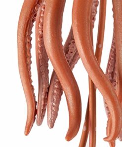 Safari Ltd. Giant Squid Figurine - Realistic 9.5" Sea Creature Figure - Educational Toy for Boys, Girls, and Kids Ages 3+ 17 51GI6wn1NmL