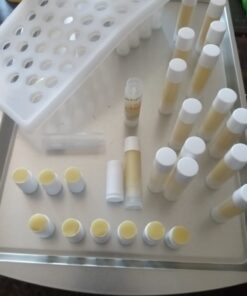 Vivaplex 50, Clear, Empty, 5.5 ml Lip Balm Tubes with White Caps 26 51Gq9V COjL