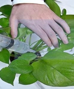 Med Chalet EXELint Disposable Syringe, Sterile Single Pack, 50 ml to 60 ml Medical Grade Catheter Tip, J1 1 12 51HDobzErWL