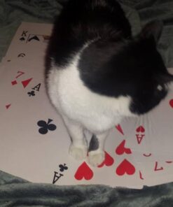 Forum Novelties Mega Jumbo Face Extra Large Playing Cards- 11" X 8" Big Full Deck 10 51HGQfjvhaL