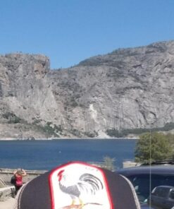 Goorin Bros. Trucker Hat Men - Mesh Baseball SnapBack Cap - The Farm One Size Black (Rooster) 32 51HMrud9lML