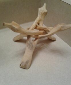 New Age Smudges & Herbs® 5 - 6 inches Premium Natural Abalone Shell &Wooden Stand~ Smudging, Cleansing Home, Meditation, Incense Holder, Home Décor, 100% Natural & Sustainable. 55 51HNK1N0DL 2