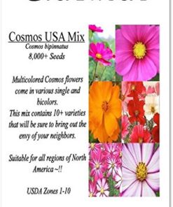 Big Pack - Cosmos USA Mix (8,000+) Flower Seeds By MySeeds.Co (Big Pack - Cosmos Mix) 34 51HfHTj8xIL
