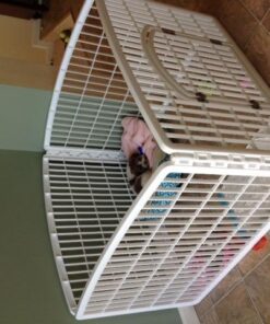 IRIS USA 24-inch Exercise 4-Panel Pet Playpen with Door, White 4 Panel w/ door 50 51Hgo4PbJXL