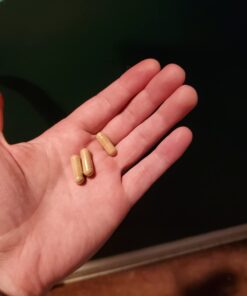 Genius Mushroom - Lions Mane, Cordyceps and Reishi - Immune System Booster & Nootropic Brain Supplement - for Natural Energy, Memory & Liver Support, 90 Veggie Pills Mushroom Complex - 90 Count 35 51Hm4XDLU7L