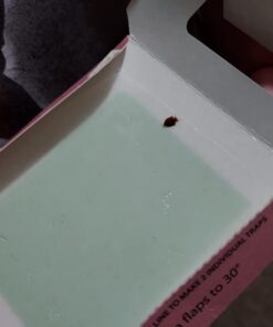 HARRIS Bed Bug Traps - Parent (20-Pack) 21 51HnLs3HHCL