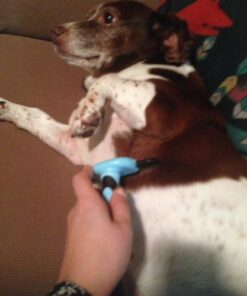 Pet Grooming Dog & Cat Brush For Shedding, Effective for Long & Short Hair Pet Grooming Tool, Reduces Dogs and Cats Shedding Hair By More Than 95%, The Professional Deshedding Tool 37 51I0E8YaNbL