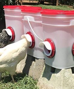 RentACoop 20lb BPA-Free Chicken Feeder with Large Ports - Includes Lid, Anti-Roost Cone, Ports, Rain Hoods - Suitable for Chickens - Corner Placement 22 51I5dKtl9eL