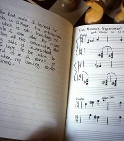 Music Journal (Diary, Notebook) 31 51I8NTxqBL