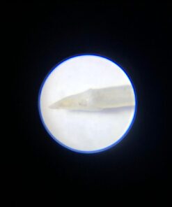 Carson 60x-75x MicroMax LED Lighted Pocket Microscope (MM-200) MicroMax (MM-200) 32 51IOwiun L