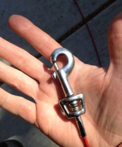 Boss Pet - Prestige 40ft Large Dog Tie Out with Spring Assorted 8 51IPg77uleL