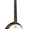 Gold Tone GT-500 Banjitar Banjo (Six String)