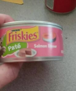 Purina Friskies Wet Cat Food Pate - 5.5 oz. Can Salmon Dinner 5.5 Ounce (Pack of 24) 33 51IYvI2OrvL