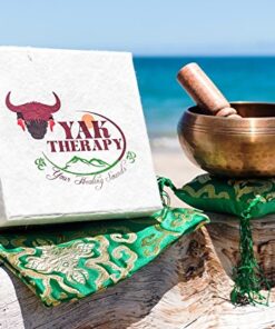Tibetan Singing Bowl Set By YAK THERAPY- Hand Crafted Meditation, Chakra Healing Peace and Mindfulness Bowl with Mallet, Silk Cushion & Bag, 4.5 inch Bowl Made in Nepal includes Gift Ebook by Email 29 51JfsGsCwqL