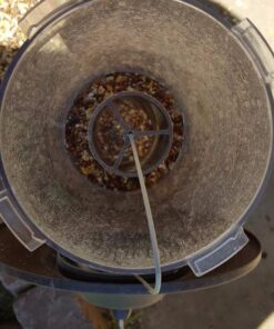 Perky-Pet 325S Panorama Bird Feeder 27 51JjGZd0ScL