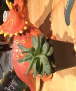 Learning Resources Jumbo Dinosaurs - Toddler Learning Toys, Dinosaurs Toys for Kids Ages 3+, Dinosaur Games Standard Packaging 55 51Jl7ZLNK2L