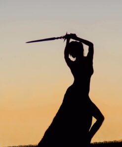 Ace Martial Arts Supply Dragon Evolution Fantasy Sword 35 51JrHCO09IL