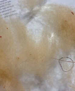 DIMENSIONS 72-73803 Hedgehog Felt Animals Needle Felting Kit, 3.5'' x 2'' 3.5'' x 2'' 33 51Jssbzf2XL