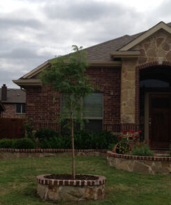 Treegator Original Slow Release Watering Bag for Trees, 1 Bag 30 51K4 VLVJuL