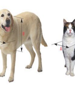 Ideal Pet Products Original Pet Door with Telescoping Frame, Extra-Large, 10.5" x 15" Flap Size 31 51K6nI1LiFL